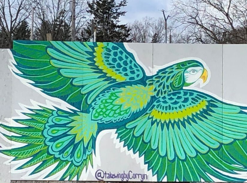 green bird portion of the bird mural - painted by corryn bamber